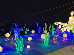 -华夏文旅海洋公园