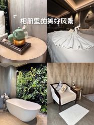 -VELEE·SPA高定疗愈会所