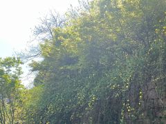 -南山风景名胜区