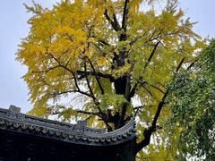 -惠山古镇·寄畅园