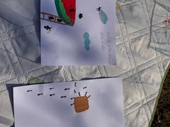 -昆山城市生态森林公园