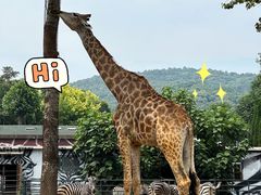 -大连森林动物园