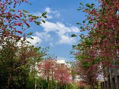 -怡得观滇餐厅·地道昆明菜·1996(海埂大坝店)