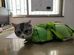 -荔康动物医院(康王北路店)