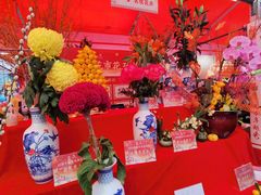 -越秀西湖花市(广州城市广场花卉店)