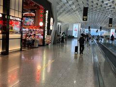 -陈鹏鹏潮汕菜(宝安机场T3航站楼店)