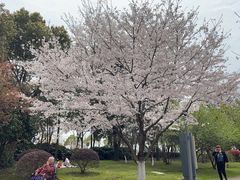 -尚贤河湿地
