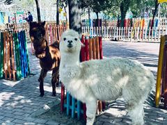 -水上乐园·欢乐世界