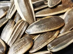 -咱屯子铁锅炖(洪楼店)