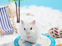 -茶颜悦色(星沙中茂城五楼店)