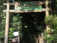 -青青世界