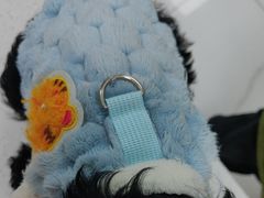 -嘉馨宠物医院·CT影像转诊·心脏科·犬猫全科诊疗中心(下沙大学城院区)
