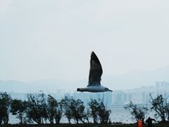 -大理洱海