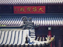 -灵谷景区