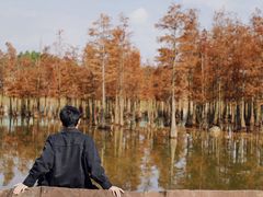 -白鹭湾湿地公园