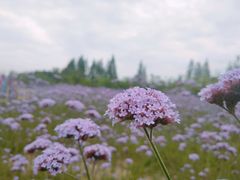 -杭州城北体育公园