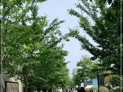 -回龙窝历史文化街区