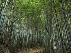 -敬亭山风景名胜区