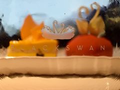 -BLACKSWAN黑天鹅(环球店)