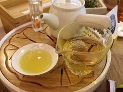 -柴务处·柴犬主题狗咖