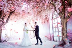 点击看大图 -韩慕婚纱摄影(九亭店)