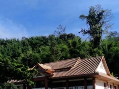 -西双版纳原始森林公园