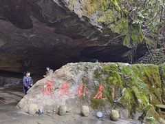 -逸廊大堂吧-下午茶·简餐-千岛湖自由洲际殿