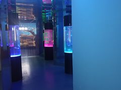 -沙沙哗啦海洋馆(华宇百花谷店)