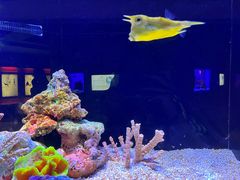 -上海海洋水族馆