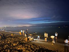 -那香海钻石沙滩浴场