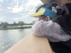 -芒洲湿地公园