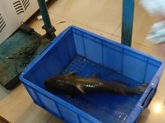 -武记碳锅鱼大盘鸡(杜岭街店)