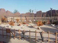 -华夏文旅西安度假区