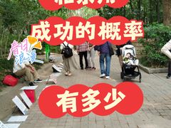 -人民公园-相亲角