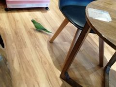 -藦茜花园宠物主题亲子互动体验馆(国顺东路店)