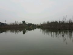 -白鹭湾湿地公园