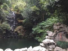 -十八棵（老龙井）御茶园(老龙井店)