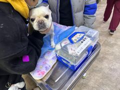 -美联众合动物医院·24h转诊中心