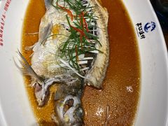 -丹江渔村(望京店)