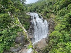 -海南热带雨林国家公园吊罗山景区