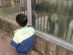 -赭山公园