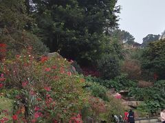 -乌山风景区