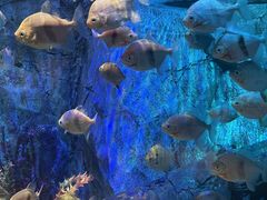 -沈阳海洋探索中心