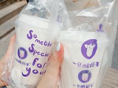 -一只酸奶牛(八一路店)