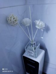 -DEM缔怡美科技美容