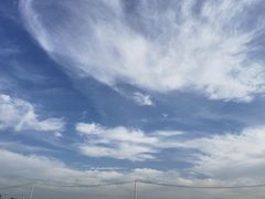 -小陆莲花蟹园农家乐(莲花岛店)