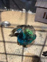 -酷嗒动物文化乐园(cutezoo西溪乐天城店)