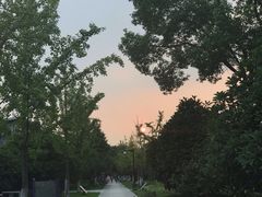 -杭州城北体育公园