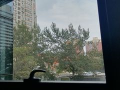 -首都图书馆-咖啡厅