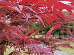 -白塘生态植物园